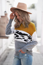 Load image into Gallery viewer, Leopard Color Block Ribbed Trim Dropped Shoulder Sweater