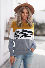 Load image into Gallery viewer, Leopard Color Block Ribbed Trim Dropped Shoulder Sweater
